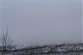 Bjerkvik februar 2023 IMG_2338.JPG