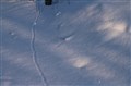 Bjerkvik februar 2023 IMG_2357 (3888 x 2592).jpg